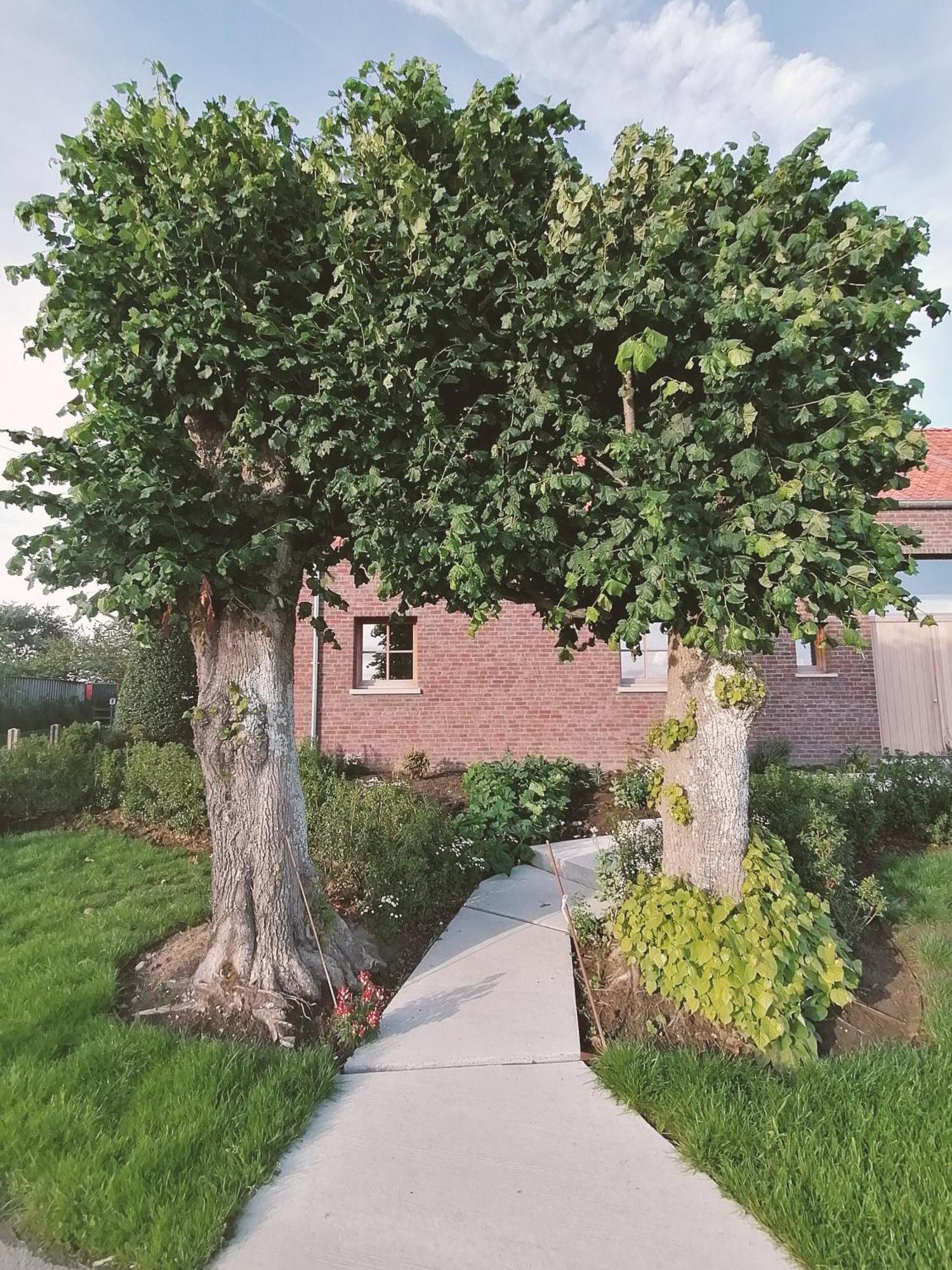 Het Meikenshof Bed & Breakfast